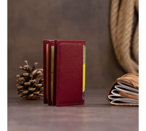 Візитниця-книжка ST Leather 19218 Бордова
